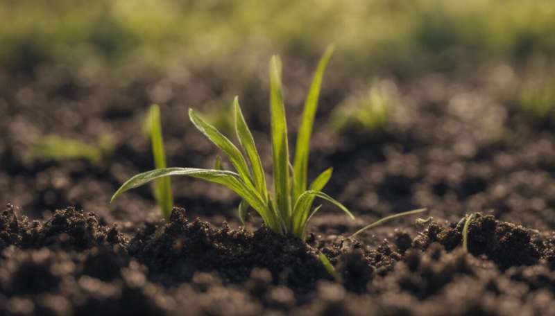 Healthy soil can help grow more food and cut emissions—but government inaction means too much soil is being degraded
