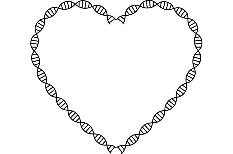 DNA قلب