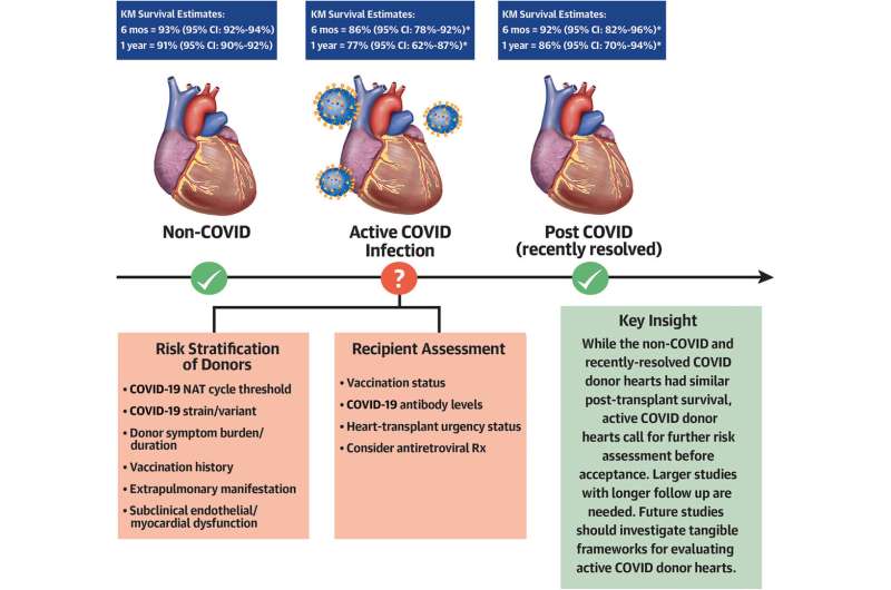Heart doners with COVID-19 confer higher risk of mortality to those receiving new hearts