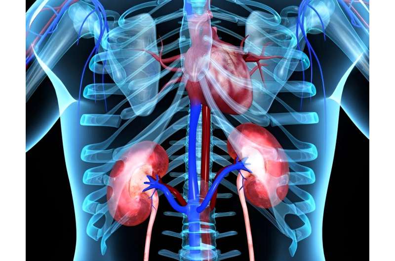 Heart failure causally linked to chronic kidney disease