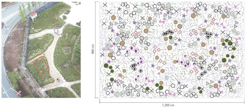 Herbaceous planting for ecological restoration of urban brownfields based on mechanisms of the assembly of plant communities