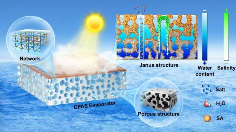 High efficiency, salt resistance and high strength desalination achieved with new Janus sponge-like hydrogel solar evaporator