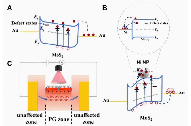 High-performance MoS2-based infrared photodetector induced by the photogating effect