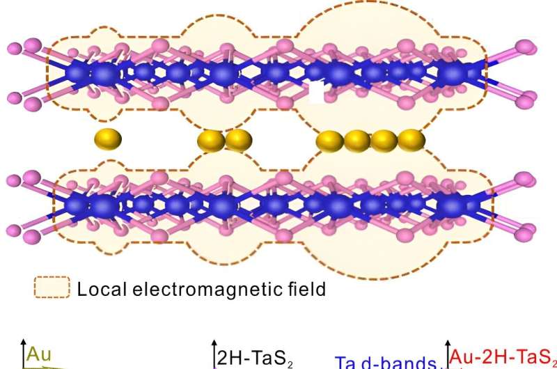 High-performance SERS substrate proposed based on 2H-TaS2 and single-atom-layer gold clusters