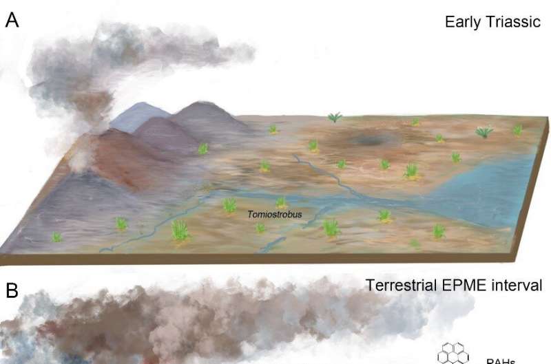 High-temperature wildfire during end-Permian caused collapse of tropical rainforest ecosystems