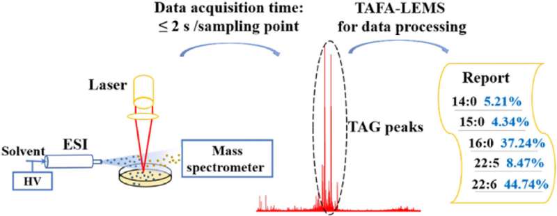 High-throughput mass spectrometry platform enables in-situ screening of fatty-acid-producing strains
