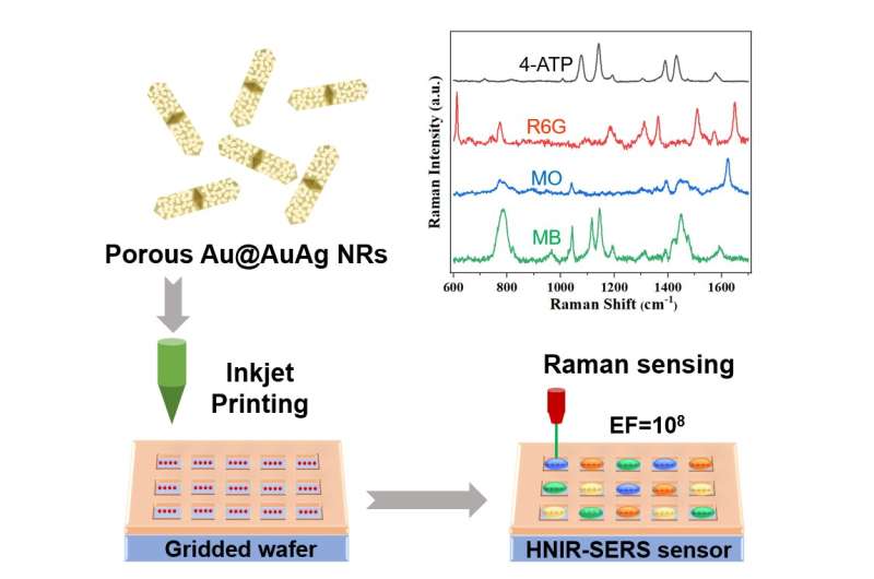 High-throughput sensor developed for detecting biochemical molecules with high sensitivity and specificity