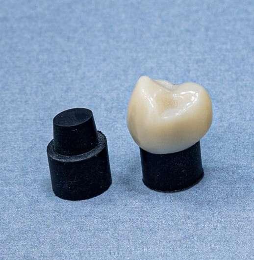 HKU Dentistry invents new material to replace extracted human teeth for dental research