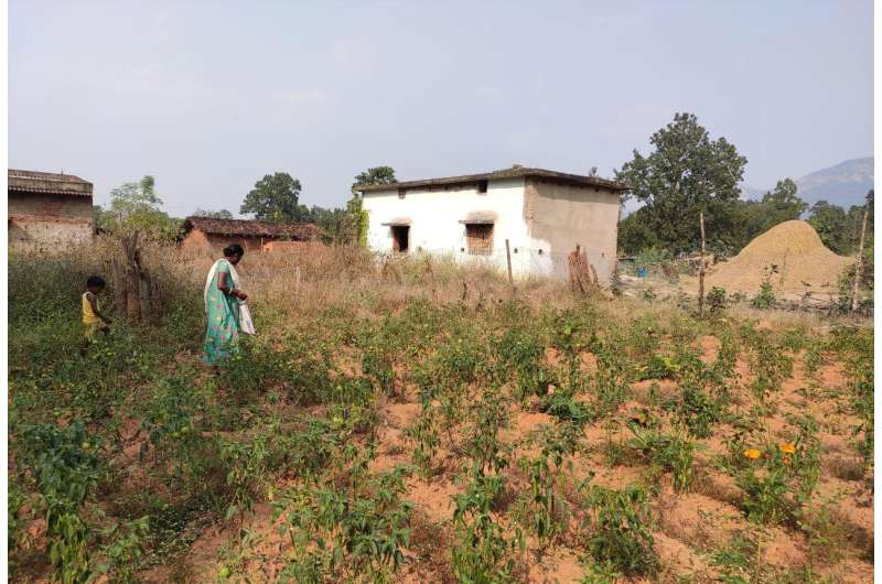 Home gardens are key to better lives for vulnerable tribes in India