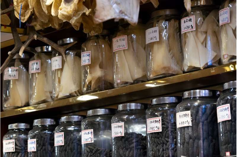 Hong Kong is one of the world's largest markets for shark fin, which is viewed by many Chinese communities as a delicacy