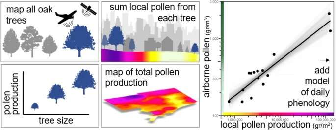 How 30,000 Detroit trees bloomed into a better way for researchers to predict airborne pollen