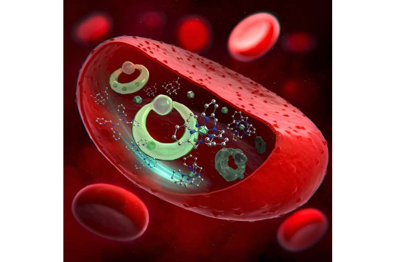 How a widely used antimalarial drug affects zinc levels in a malarial parasite
