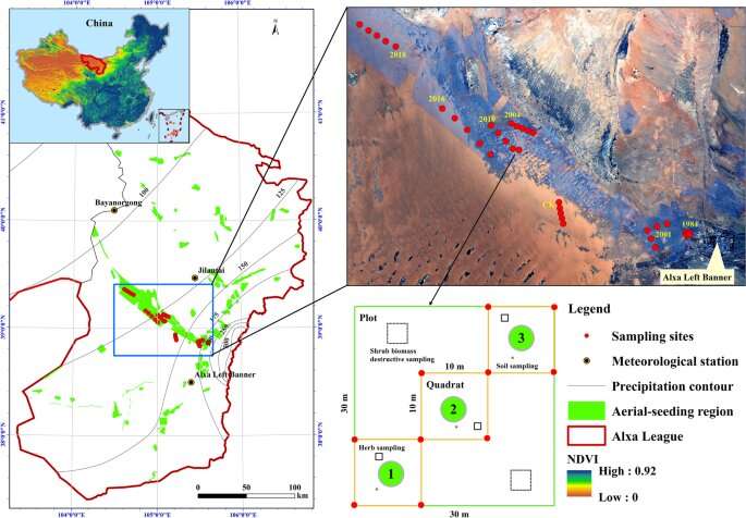 How afforestation by aerial sowing affects topsoil physicochemical properties in deserts