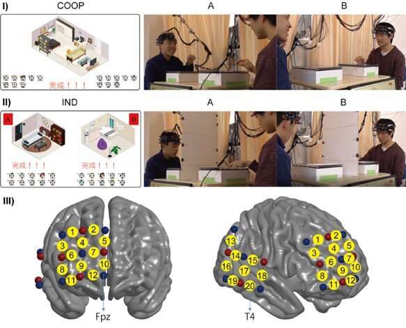 How brains synchronize during cooperative tasks