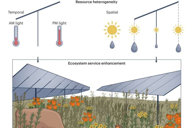 How can solar energy installations prioritize ecosystems?