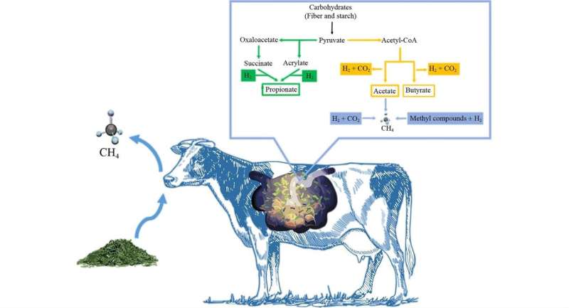 How can we use nutritional strategies to mitigate methane emissions from ruminants?