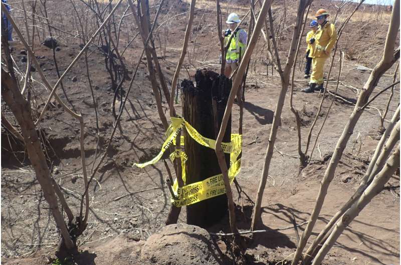 How did the Maui fire spread so quickly? Overgrown gully, stubborn embers may be key to probe