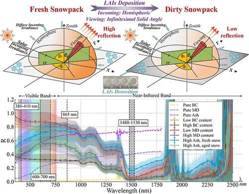 How different light-absorbing impurities in snow influence its reflectance characteristics