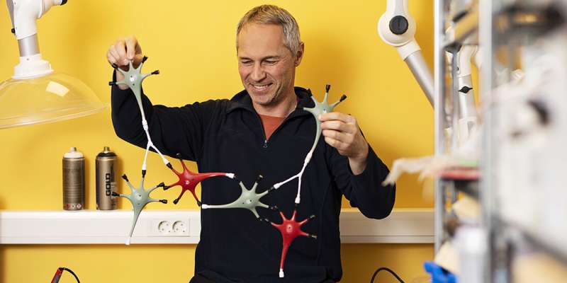 How do our nerve cells work together?