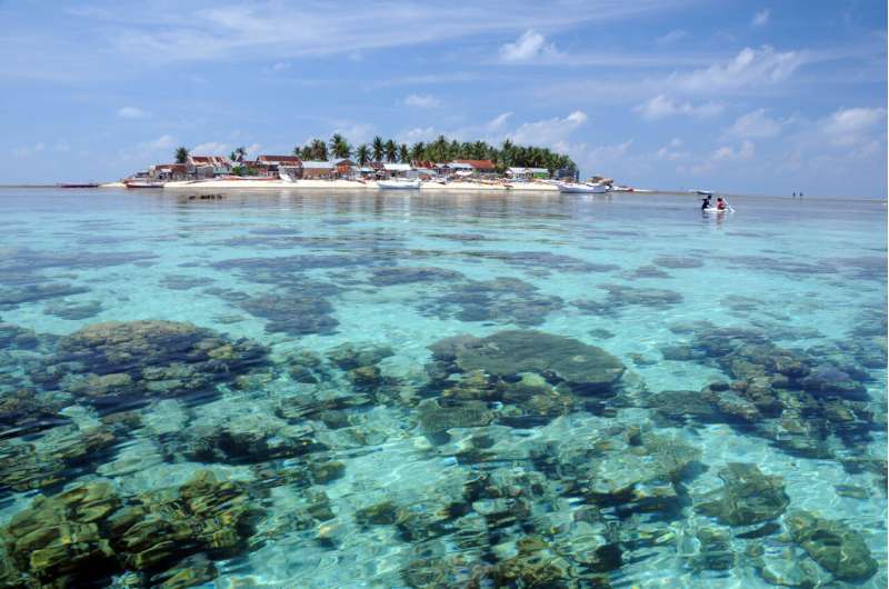 How do sea level and monsoons influence the development of coral islands?