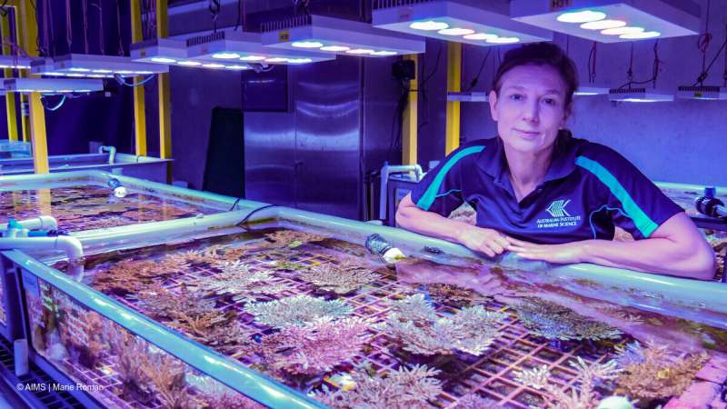 How do we decide which coral species to underwrite in a warming future?