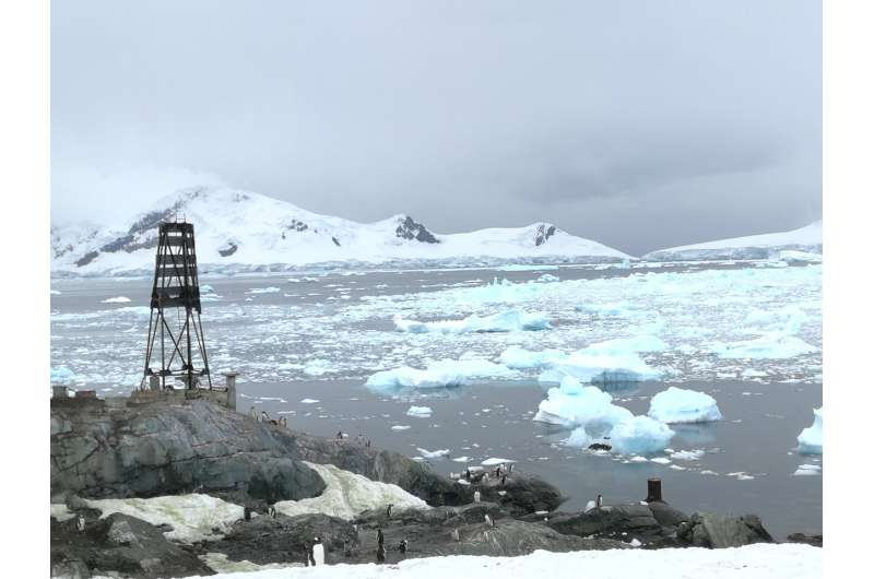 How does El Niño affect precipitation in the Antarctic Peninsula and West Antarctica?