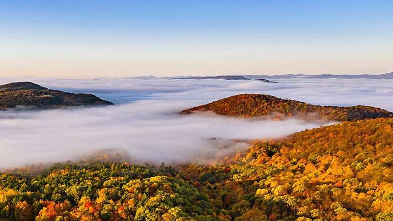 How extreme weather impacts fall foliage