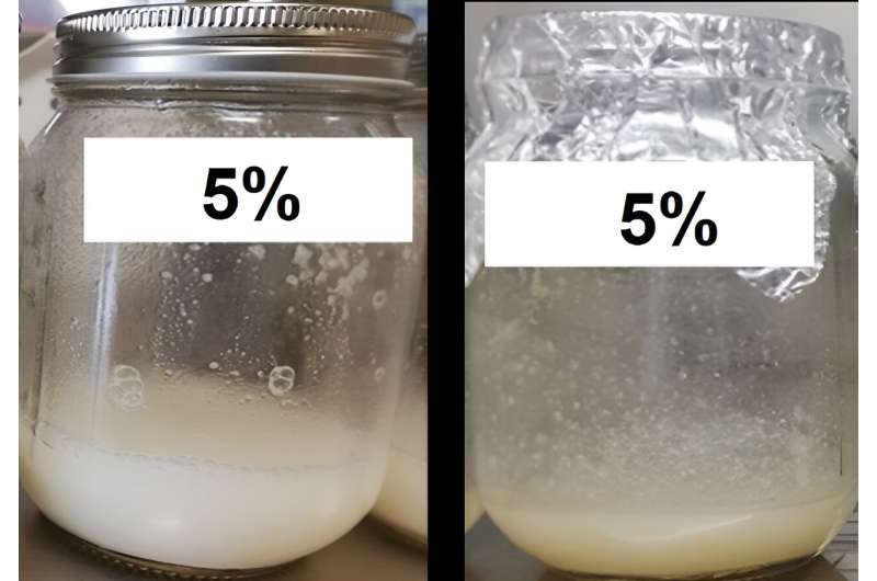 How heat treatment affects a milk alternative made from rice and coconut water