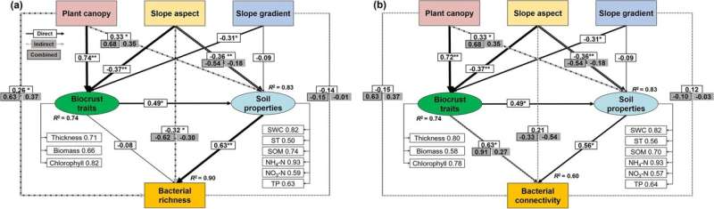 How microhabitat affects bacterial communities in a semi-arid ecosystem