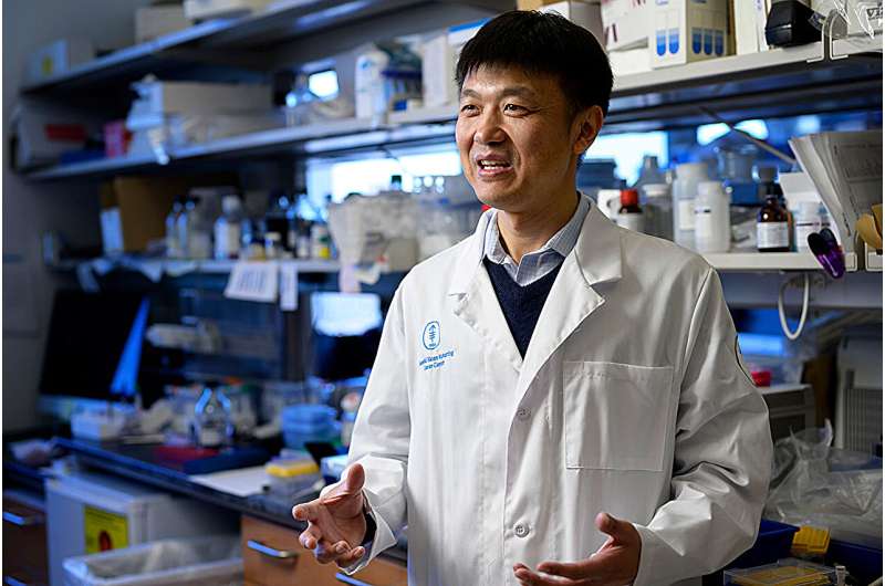 How one lab at MSK is working to harness the power of the immune system against cancer