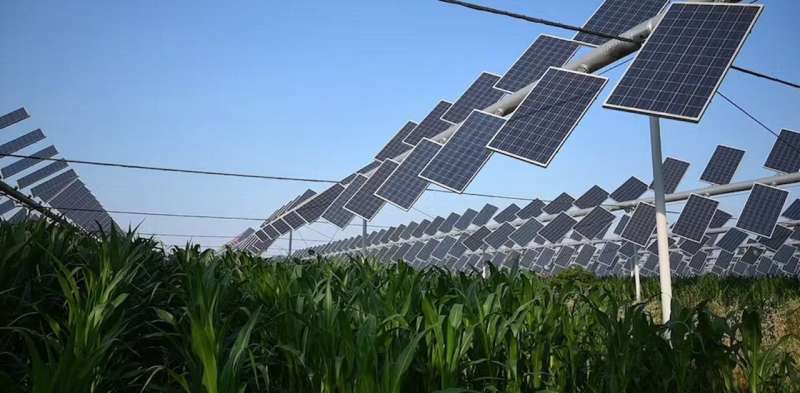 How shading crops with solar panels can improve farming, lower food costs and reduce emissions
