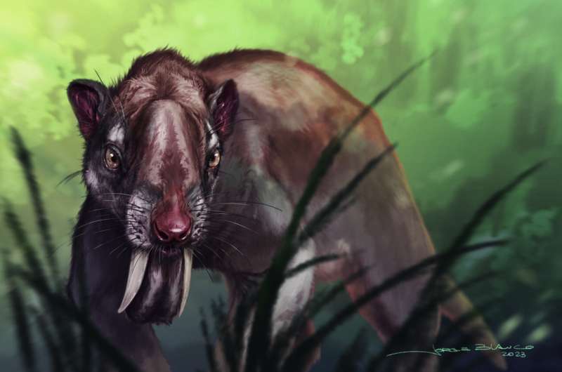 How the &quot;marsupial sabertooth&quot; thylacosmilus saw its world