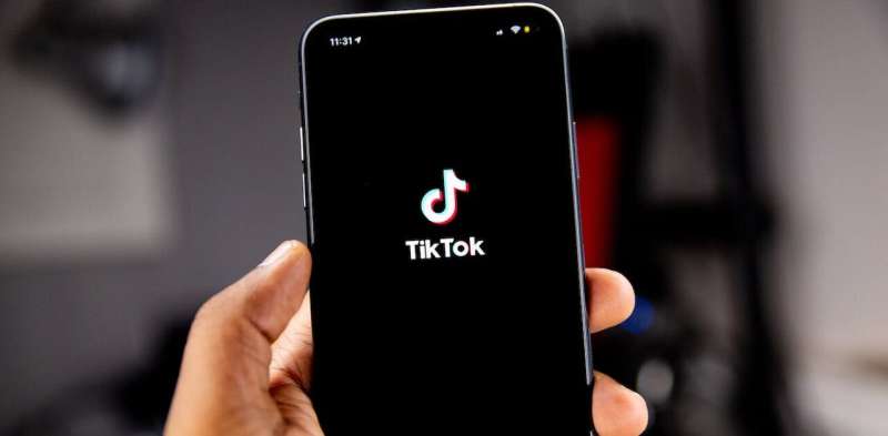 How TikTok became a breeding ground for hate speech in the latest Malaysia general election
