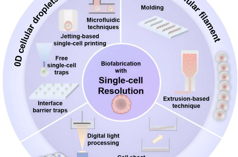 How to fabricate a tissue in single-cell resolution?