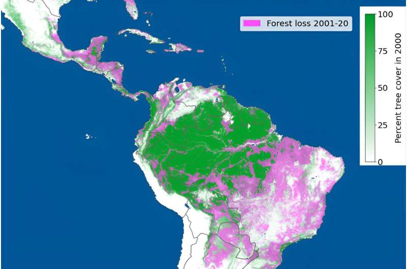 How to tackle the global deforestation crisis