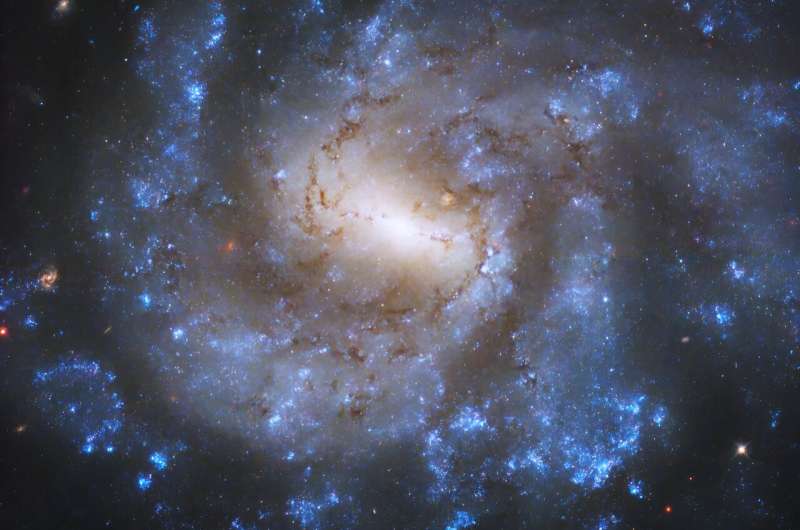 Hubble captures barred spiral galaxy NGC 685