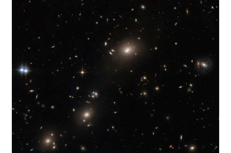 Hubble captures galaxy cluster ACO S520