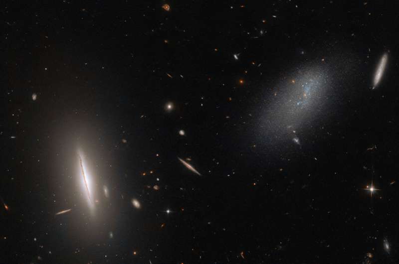 Hubble captures galaxy LEDA 48062 in the constellation Perseus