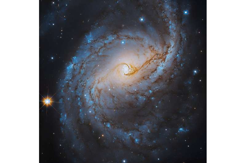 Hubble captures intermediate spiral galaxy NGC 6951