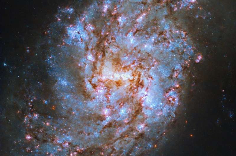 Hubble Captures Starry Cetus Constellation Galaxy