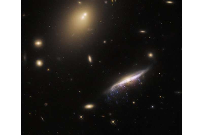 Hubble observes ram pressure stripping in galaxy JW100