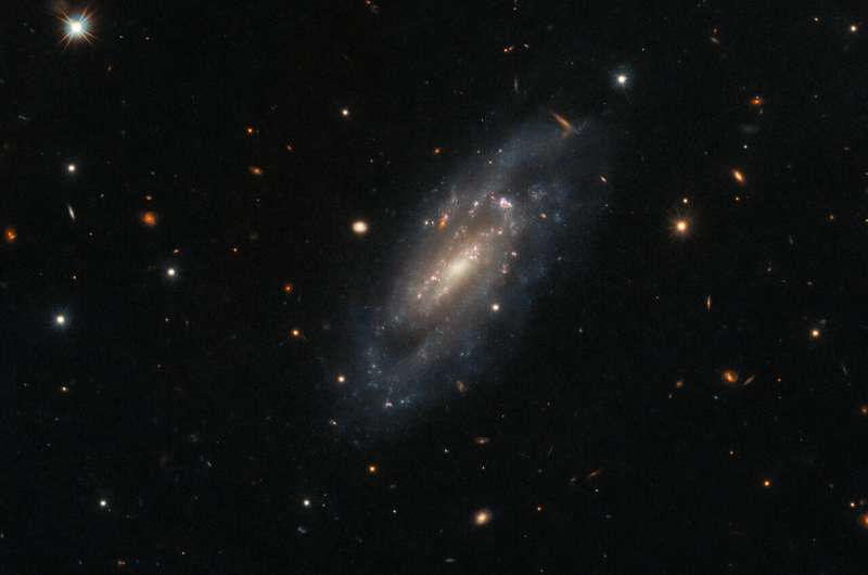Hubble observes spiral galaxy UGC 11860