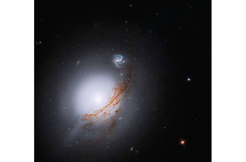 Hubble views lenticular galaxy NGC 5283