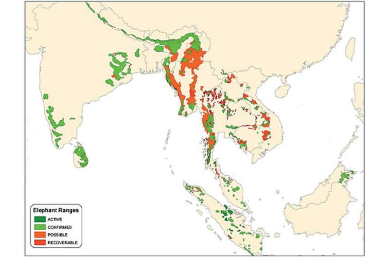 Human activities have reduced elephant habitat by nearly two-thirds since 1700, dividing population into smaller patches