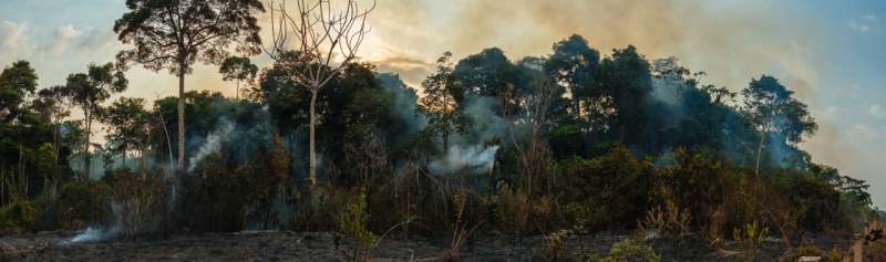 Human activity has degraded more than a third of the remaining Amazon rainforest, scientists find