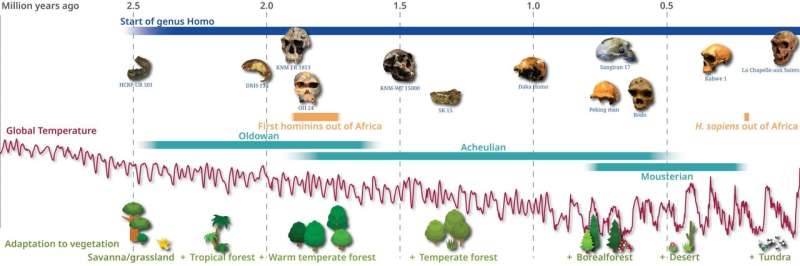 Human ancestors preferred mosaic landscapes and high ecosystem diversity