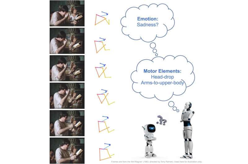 Human body movements may enable automated emotion recognition, researchers say