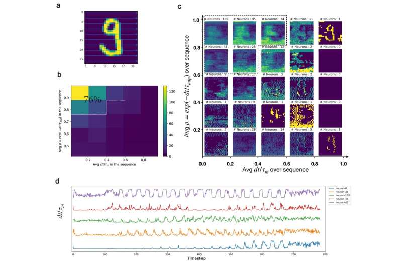 Human Brain Project: Study presents large brain-like neural networks for AI