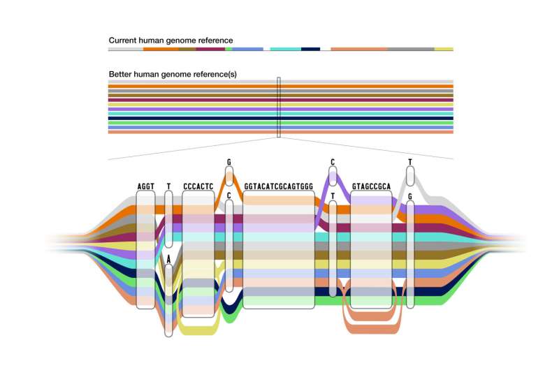 Human pangenome reference will enable more complete and equitable understanding of genomic diversity