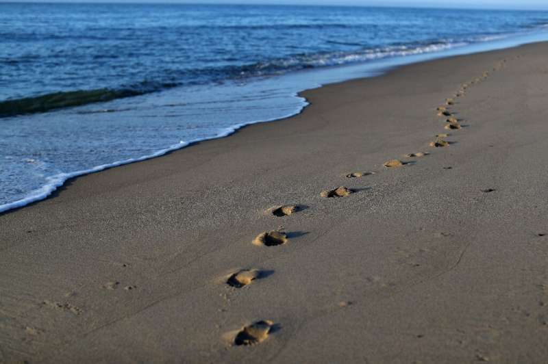 Humans shed genetic material everywhere we go, which the scientists showed by collecting DNA from a footprint on a beach